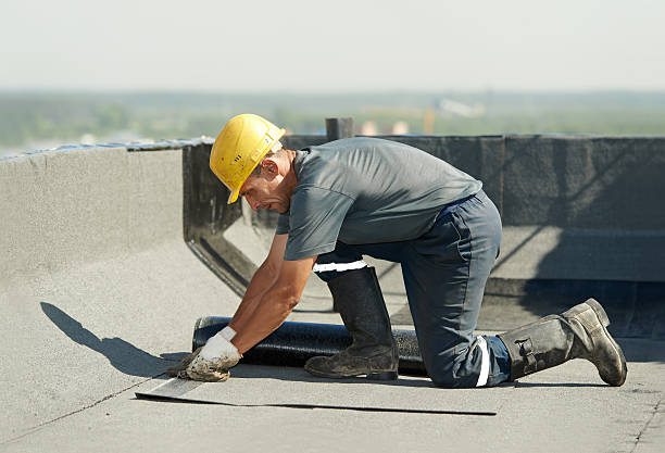 Best Specialty Insulation in Walnut, IL
